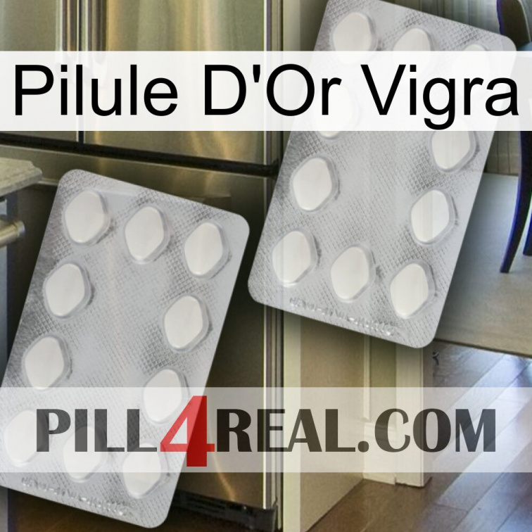 Vigra Gold Pill 17